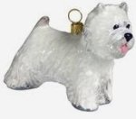 Westie